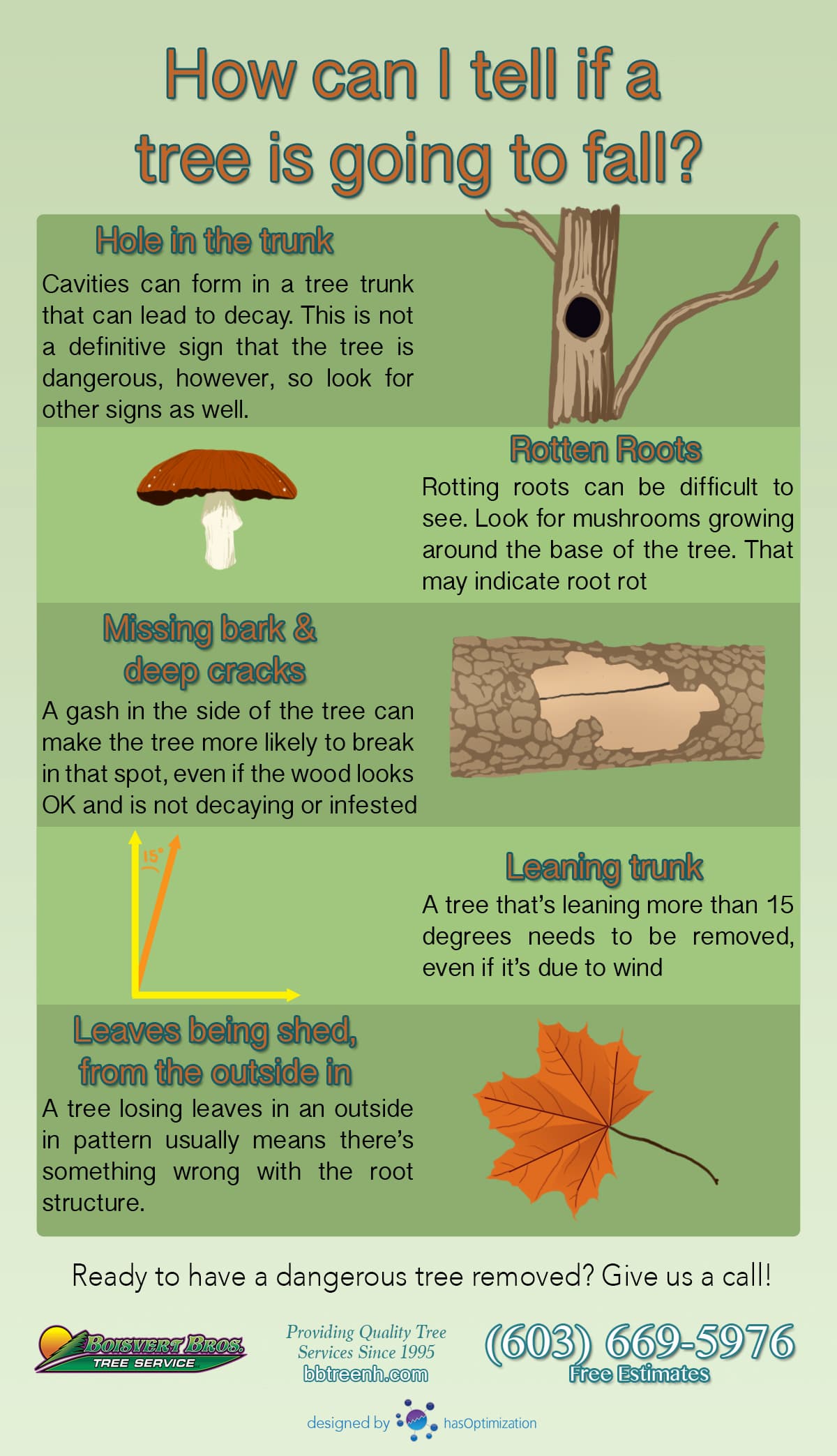 How can I tell if a tree is going to fall? Dangerous Tree Infographic